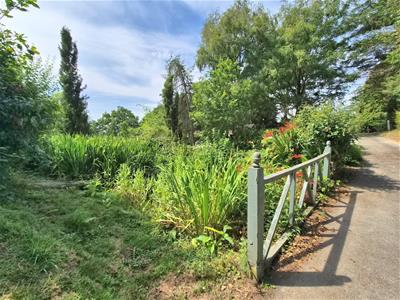 Picture 25